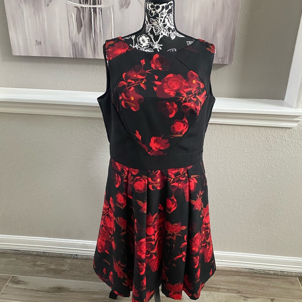 Taylor Dress, Sz 16, red and black floral